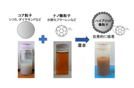 フラーレン複合微粒子の作製