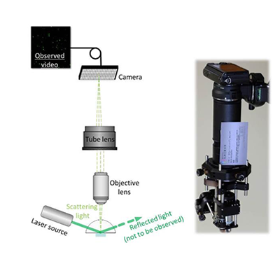 Optical system and portable apparatus