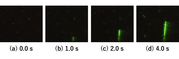 One of observation cases; growth phenomena of a silver nano-wire